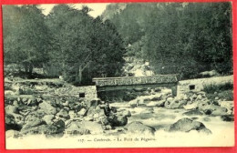 65 HAUTES PYRÉNÉES - CAUTERETS - LE PONT DU PÉGUÈRE - CPA ANIMÉE (329)_CP51 - Cauterets