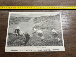 1908 PATI Cueillette Di Thé Sur Les Collines De Shizuoka. LE JAPON PITTORESQUE - Collezioni