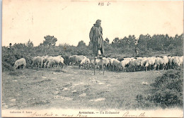 33 ARCACHON - Un Echassier Et Ses Moutons. - Arcachon