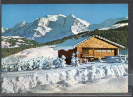 AU PAYS DU MT BLANC   // Lot D  23 - Veyrier