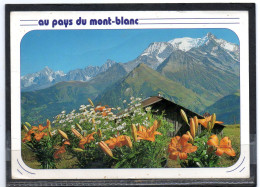 AU PAYS DU MT BLANC   // Lot D  28 - Veyrier