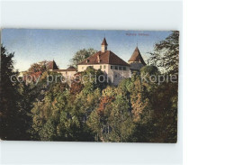 11748442 Kyburg ZH Schloss Kyburg - Otros & Sin Clasificación