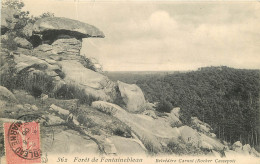  77  Forêt De  FONTAINEBLEAU  Belvédère Carnot - Fontainebleau