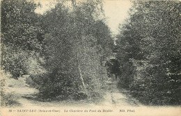  95  SAINT LEU   La Clairière Du Pont Du Diable - Taverny