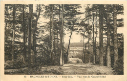 61  BAGNOLES De L'ORNE   Sousbois   Vue Vers Le Grand Hôtel - Bagnoles De L'Orne