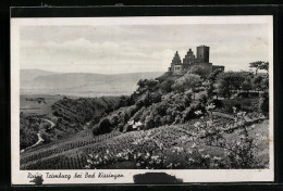 AK Bad Kissingen, Ruine Trimburg Mit Blühenden Bäumen  - Bad Kissingen