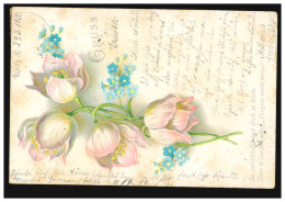 Blumen-AK Märzenbecher Und Veilchen, ESSEN (RUHR) 30.3.1900 Nach BORKEN 30.3.00 - Sonstige & Ohne Zuordnung