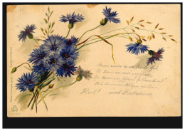 Blumen-AK Violette Nelken, Nach KARLSBAD 1 - 4.8.1899 - Andere & Zonder Classificatie