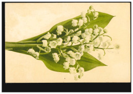 Blumen-AK Märzenbecher, WOLFENBÜTTEL 20.5.1904 Nach CALBE 21.5.04 - Altri & Non Classificati