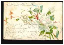 Blumen-AK Weiße Rosen, HOHENHAMELN 15.8.1901 Nach BURGDORF (HANNOVER) 15.8.01 - Autres & Non Classés