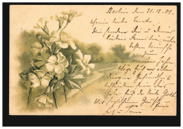 Blumen-AK Weiße Nelken Mit Landschaft, BERLIN 30.12.1900 Nach Münchberg - Altri & Non Classificati