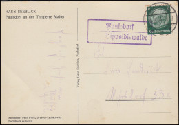 Landpost-Stempel Paulsdorf über DIPPOLDISWALDE 25.5.1934 Auf AK Haus Seeblick - Covers & Documents