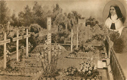  14   LISIEUX   Enclos Des Carmélites Au Cimetière De Lisieux - Lisieux