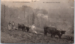 15 Le Cantal Pittoresque, Laboureurs Aux Champs. - Other & Unclassified