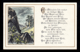 Lyrik-AK Landschaft Mit Gedicht Der Blitzeinschlag In Die Eiche, TEUFEN 7.3.1925 - Sonstige & Ohne Zuordnung