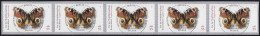2504 Schmetterling, 5er-Streifen Mit GERADER Nummer, ESSt Berlin - Roller Precancels