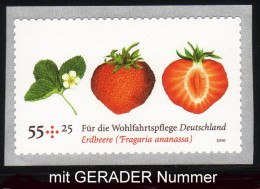 2777 Erdbeere Sk Mit GERADER Nummer, ** - Rollenmarken