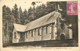  58  SAINT HONORE LES BAINS   LA CHAPELLE DU PARC  Providence Des Voies Respiratoires - Otros & Sin Clasificación