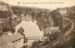  87  ENVIRONS DE LIMOGES   VALLEE DE LA VIENNE  AUX PAQUERETTES - Limoges