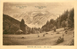  74    MORZINE   - Morzine