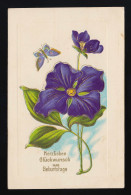 Lila Blüte Blauer Schmetterling Glückwunsch Geburtstag, Hilgen 27.4.1906 - Autres & Non Classés