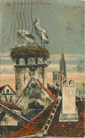   Illustration  LES CIGOGNES  EN ALSACE - 1900-1949