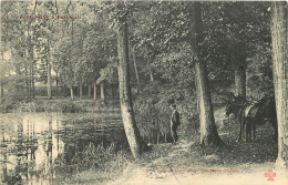   91   BOIS DE VERRIERES  LA MARE SAINT LEU - Verrieres Le Buisson