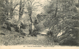  77  FORET DE FONTAINEBLEAU   GORGES AUX LOUPS - Fontainebleau