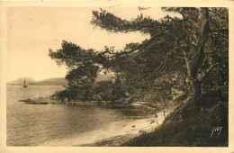  83  LES ILES D'HYERES  PORQUEROLLES  LA PLAGE D'ARGENT - Porquerolles