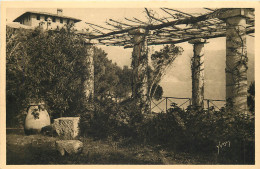  83   COTE D'AZUR   PERGOLA SUR LE LITTORAL - Sonstige & Ohne Zuordnung