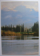 ISRAËL - Jordan River And Mount Hermon - Israel