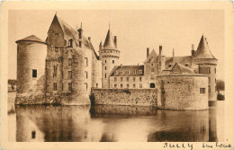  45  SULLY SUR LOIRE - Sully Sur Loire