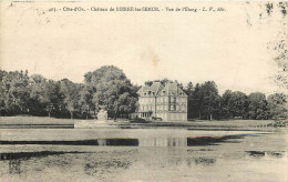  21   CHATEAU DE BIERRE LES SEMUR  VUE DE L'ETANG - Otros & Sin Clasificación