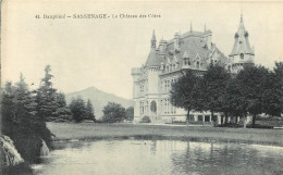  38  SASSENAGE    LE CHATEAU DES COTES - Sassenage