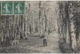 Autres & Non Classés. Verteuil. Ramassage Des Feuilles Dans La Forêt De La Tremblaye. - Altri & Non Classificati