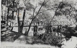 Saint-Florent-sur-Cher. La Passerelle En Bois Sur Un Bras Du Cher. - Saint-Florent-sur-Cher