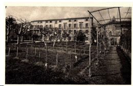 Toulon. Clinique Malartic Des Soeurs Servantes De Marie. - Toulon