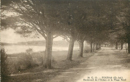  17  FOURAS  Boulevard De L'ocean Et La Plage Du Nord - Fouras-les-Bains