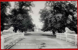 Laxenburg Bei Wien, N.Oe. Löwenbrücke. - Laxenburg