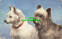 R605611 Dogs. C. W. Faulkner. Series 1220. 1914 - Mondo