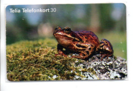 Grenouille Frog  Animal Télécarte Suède Phonecard  (K297) - Schweden