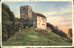 11745391 Habsburg Schloss Habsburg Habsburg - Andere & Zonder Classificatie