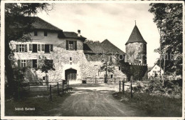 11745362 Hallwil Schloss Hallwil Hallwil - Andere & Zonder Classificatie