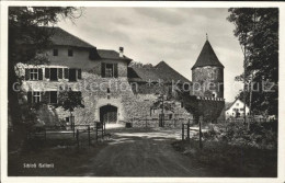 11745358 Hallwil Schloss Hallwil Hallwil - Andere & Zonder Classificatie