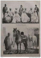 Les Ambassadeurs Du Maroc - Les Chevaux Offerts à M. Grévy Par L'empéreur Du Maroc - Page Original 1885 - Historische Dokumente