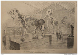Le Grand Mégatherium Et L'Éléphant Du Gard - Page Original 1885 - Documents Historiques