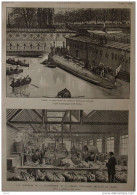 Vue Intérieure De La Blanchisserie De La Grande Teinturerie Thuillier Et Virard - Usines à Darnetal - Page Original 1885 - Documents Historiques