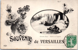 78 VERSAILLES - Un Souvenir Du Bassin De Neptune - Versailles