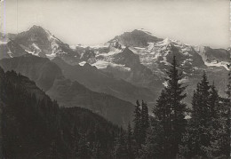 X114040 SUISSE BERNE INTERLAKEN OBERHASLI INTERLAKEN BLICK VON DER SCHYNIGEN PLATTE AUF MONCH U. JUNGFRAU - Berna