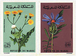 95471 MNH MARRUECOS 1972 FLORA MARROQUI - Marokko (1956-...)